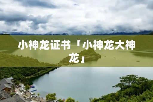 小神龙证书「小神龙大神龙」