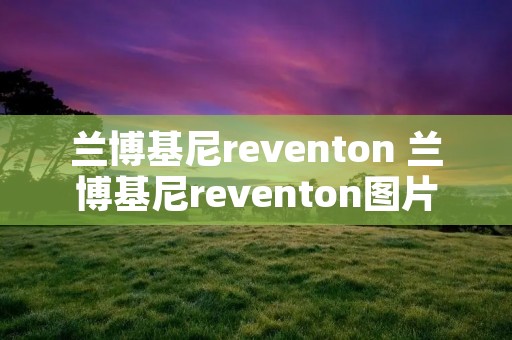 兰博基尼reventon 兰博基尼reventon图片