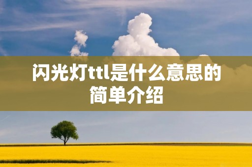 闪光灯ttl是什么意思的简单介绍