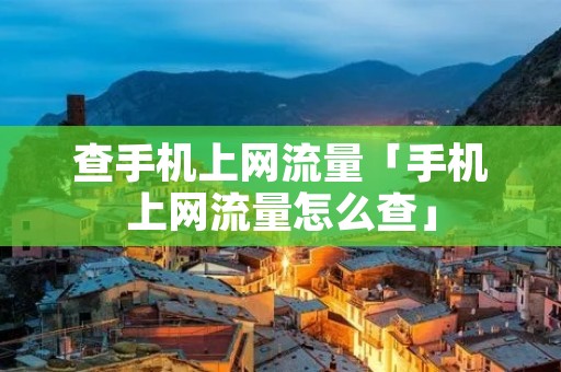 查手机上网流量「手机上网流量怎么查」