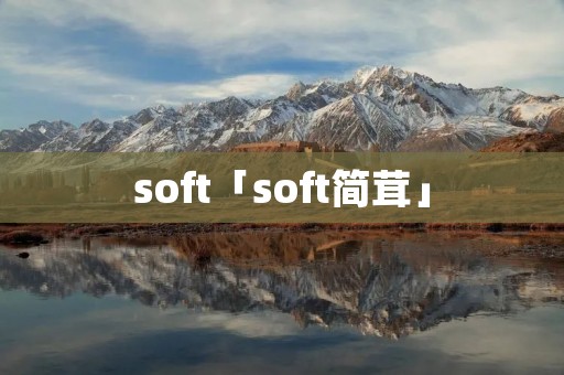 soft「soft简茸」