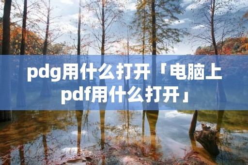 pdg用什么打开「电脑上pdf用什么打开」