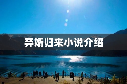 弃婿归来小说介绍