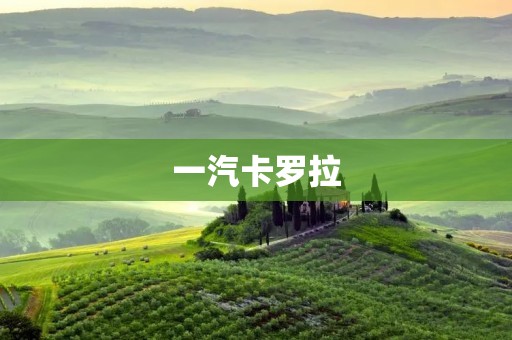 一汽卡罗拉：细节谱写的经典之作