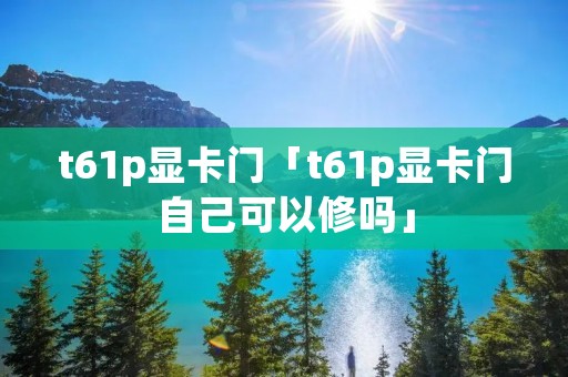 t61p显卡门「t61p显卡门自己可以修吗」