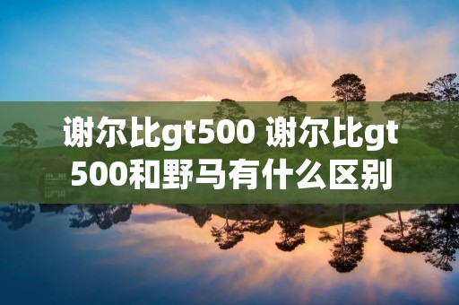 谢尔比gt500 谢尔比gt500和野马有什么区别