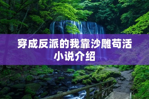 穿成反派的我靠沙雕苟活小说介绍