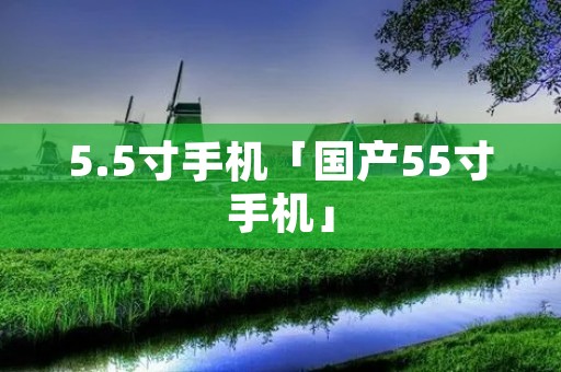 5.5寸手机「国产55寸手机」