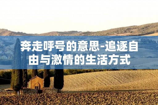 奔走呼号的意思-追逐自由与激情的生活方式