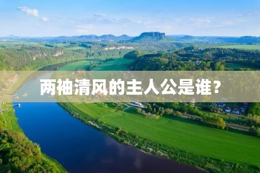 两袖清风的主人公是谁?