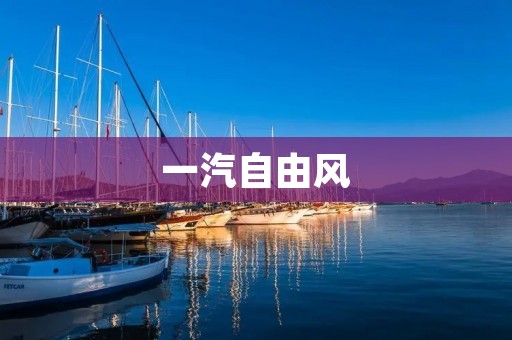 一汽自由风:开启自由自在的驾驶体验 一汽自由风:开启自由自在的驾驶体验