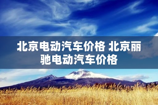 北京电动汽车价格 北京丽驰电动汽车价格 北京电动汽车价格 北京丽驰电动汽车价格