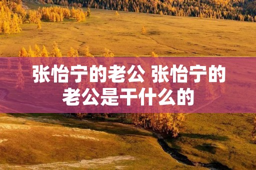 张怡宁的老公 张怡宁的老公是干什么的