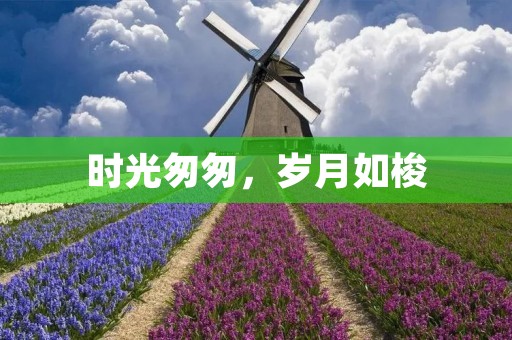 时光匆匆,岁月如梭