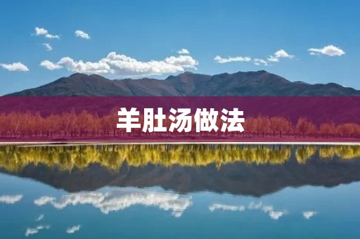羊肚汤做法:家常美味,滋补养生,让你暖心暖胃 羊肚汤做法:家常美味,滋补养生,让你暖心暖胃