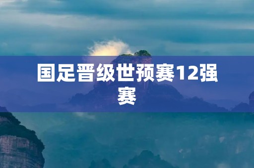国足晋级世预赛12强赛:中国足球的新篇章 国足晋级世预赛12强赛:中国足球的新篇章