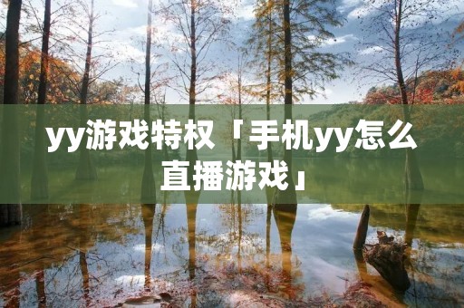yy游戏特权「手机yy怎么直播游戏」