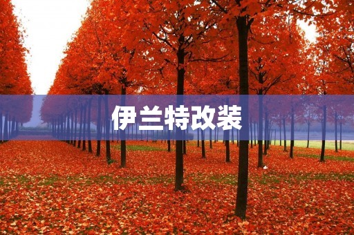 伊兰特改装:打造独一无二的个性座驾 伊兰特改装:打造独一无二的个性座驾
