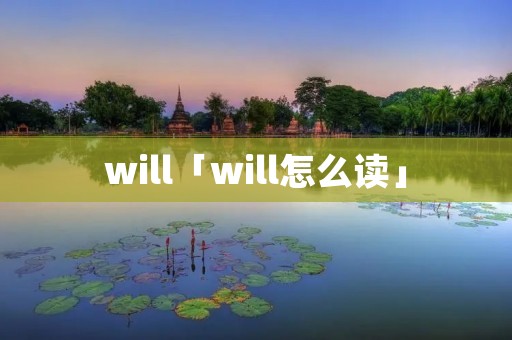 will「will怎么读」