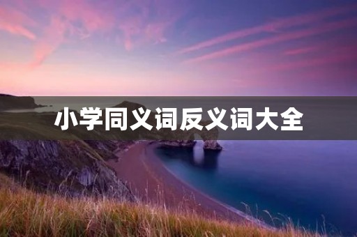 小学同义词反义词大全:丰富你的词汇积累