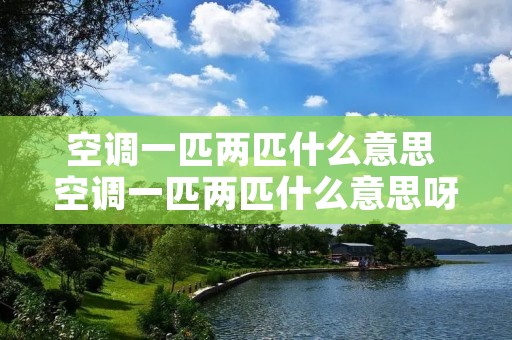 空调一匹两匹什么意思 空调一匹两匹什么意思呀 空调一匹两匹什么意思 空调一匹两匹什么意思呀