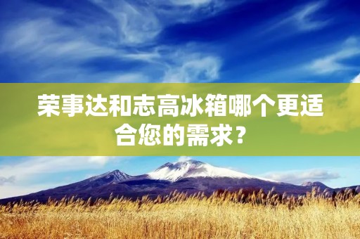 荣事达和志高冰箱哪个更适合您的需求？