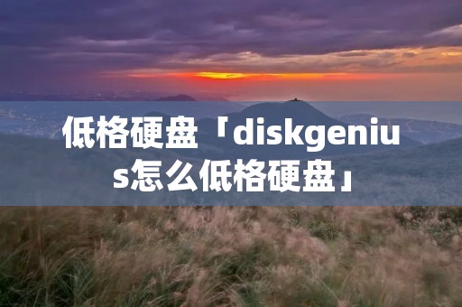 低格硬盘「diskgenius怎么低格硬盘」