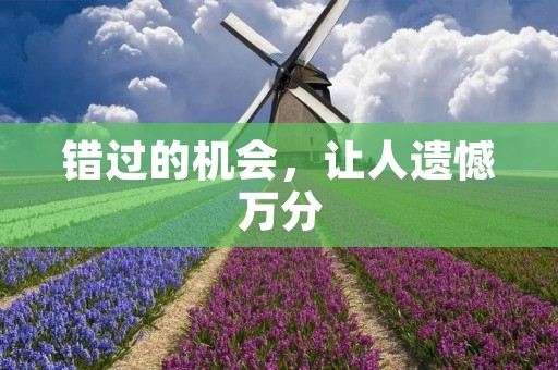 错过的机会,让人遗憾万分