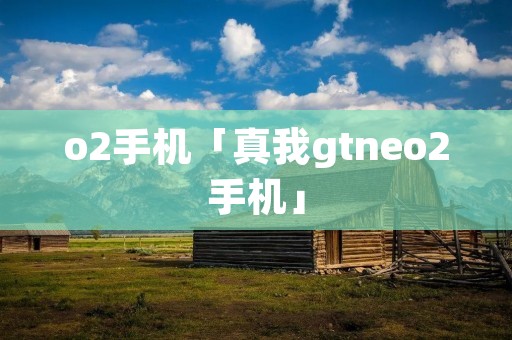 o2手机「真我gtneo2手机」