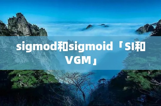 sigmod和sigmoid「SI和VGM」