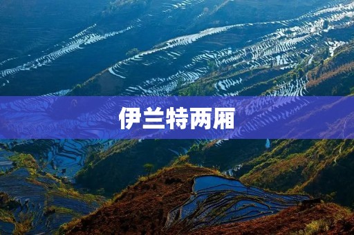 伊兰特两厢:传承经典,致敬经典 伊兰特两厢:传承经典,致敬经典
