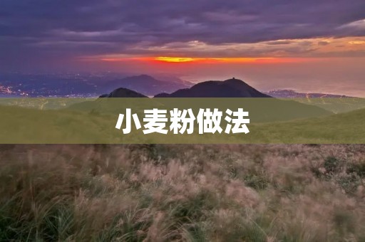 小麦粉做法:百变美食尽在你手中 小麦粉做法:百变美食尽在你手中