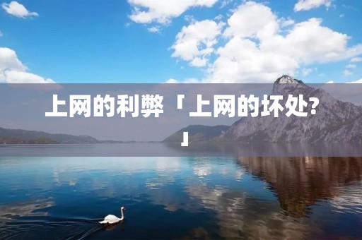 上网的利弊「上网的坏处?」