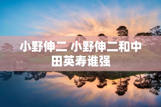 小野伸二 小野伸二和中田英寿谁强