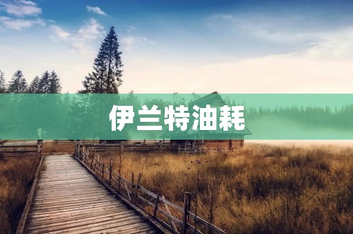 伊兰特油耗:如何提高燃油效率与节能环保 伊兰特油耗:如何提高燃油效率与节能环保