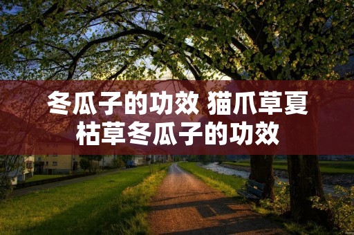 冬瓜子的功效 猫爪草夏枯草冬瓜子的功效