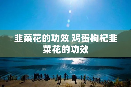 韭菜花的功效 鸡蛋枸杞韭菜花的功效
