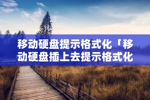 移动硬盘提示格式化「移动硬盘插上去提示格式化」 移动硬盘提示格式化「移动硬盘插上去提示格式化」