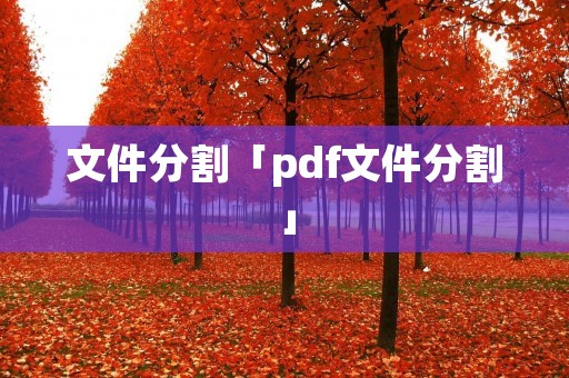 文件分割「pdf文件分割」