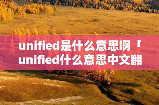 unified是什么意思啊「unified什么意思中文翻译」