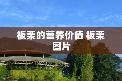 板栗的营养价值 板栗图片