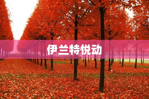 伊兰特悦动:引领时尚潮流的力作 伊兰特悦动:引领时尚潮流的力作