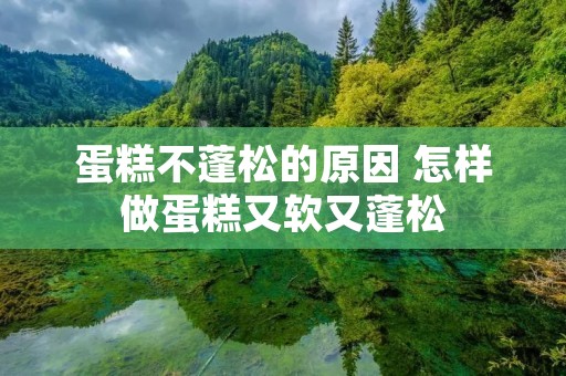 蛋糕不蓬松的原因 怎样做蛋糕又软又蓬松