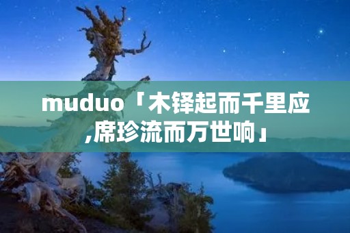 muduo「木铎起而千里应,席珍流而万世响」