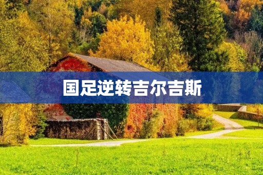 国足逆转吉尔吉斯:壮志凌云,绝地逢生 国足逆转吉尔吉斯:壮志凌云,绝地逢生