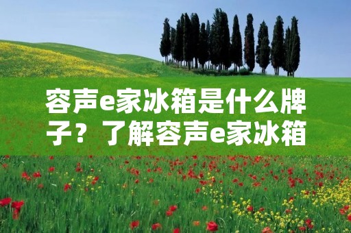 容声e家冰箱是什么牌子?了解容声e家冰箱的品牌背景及产品特点 容声e家冰箱是什么牌子?了解容声e家冰箱的品牌背景及产品特点