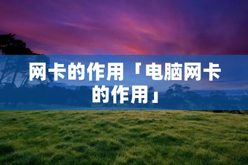 网卡的作用「电脑网卡的作用」