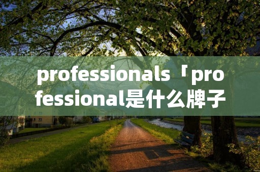 professionals「professional是什么牌子功放」