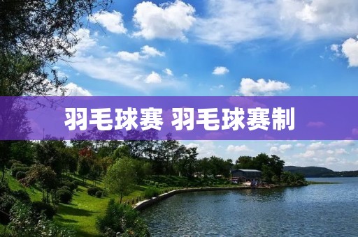 羽毛球赛 羽毛球赛制