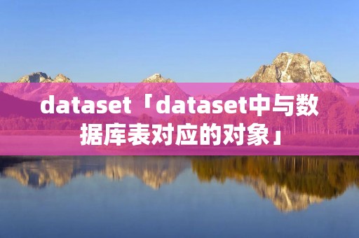 dataset「dataset中与数据库表对应的对象」